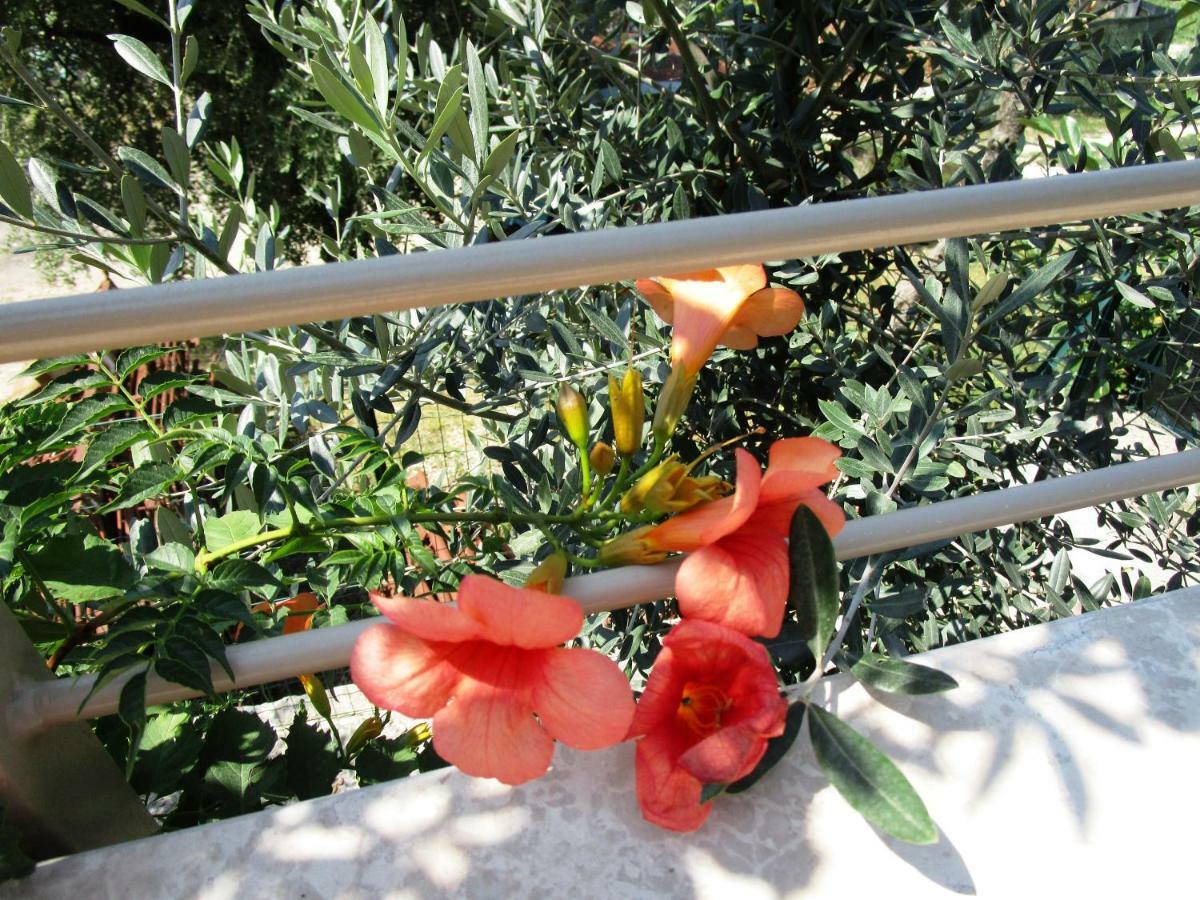 Villa Kiara Torri Del Benaco Εξωτερικό φωτογραφία